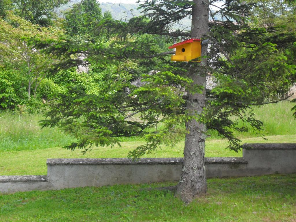 Apartmani Bartulasi Roč Dış mekan fotoğraf