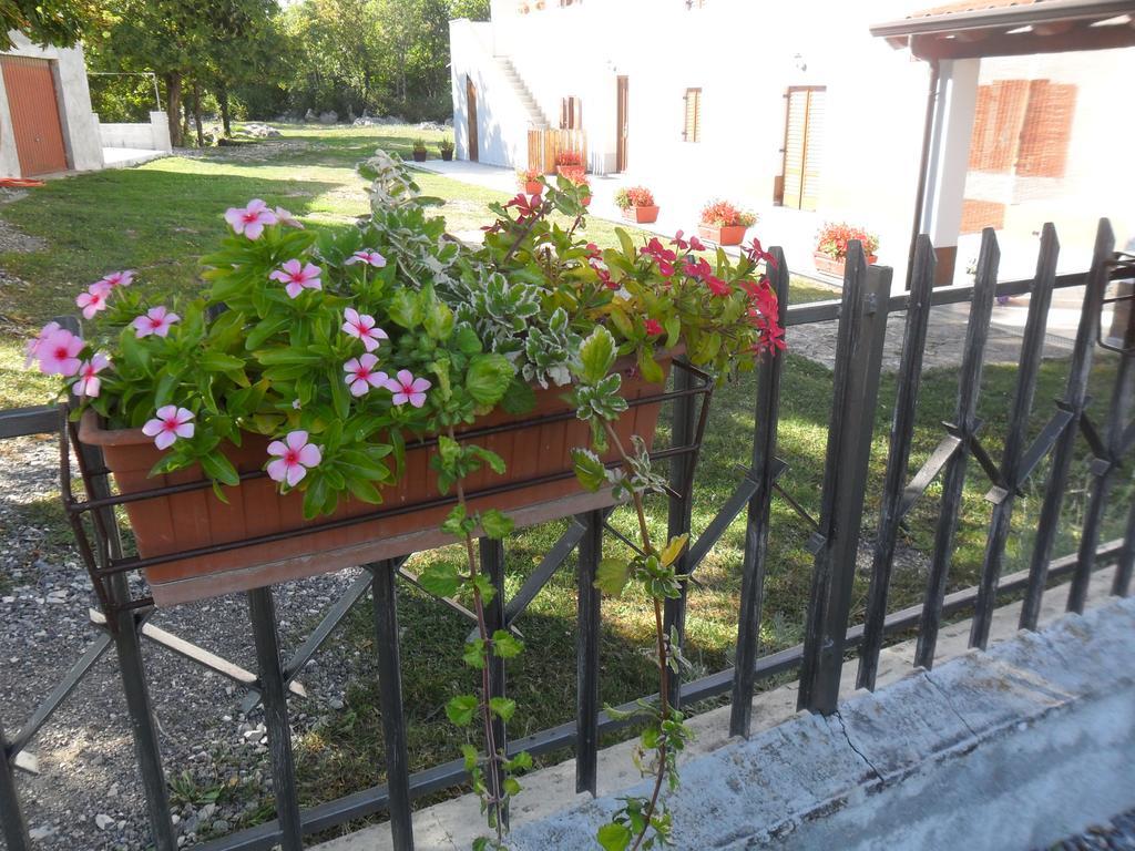 Apartmani Bartulasi Roč Dış mekan fotoğraf